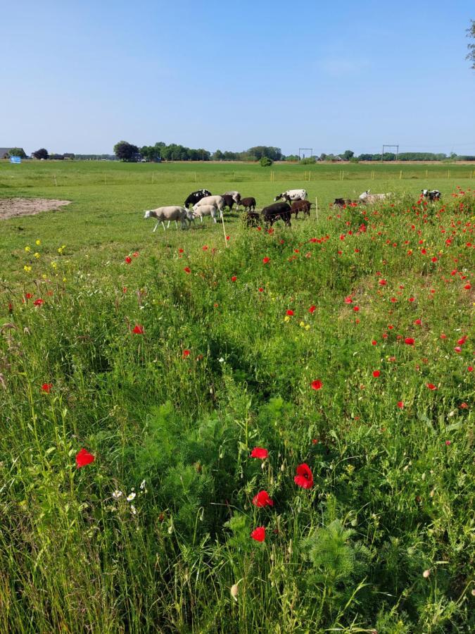 Boerderijkamer De Hooizolder Wijhe Exteriör bild